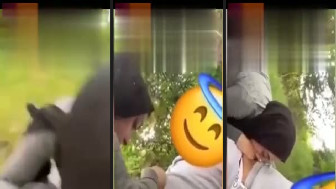 Türbanlı hatun parkta ağaç arkasında sakso çekiyor